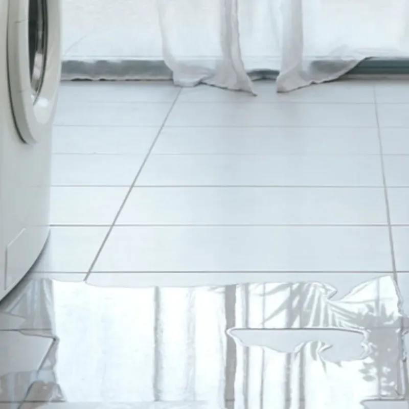 Appliance Leak Cleanup in Germantown, IL
