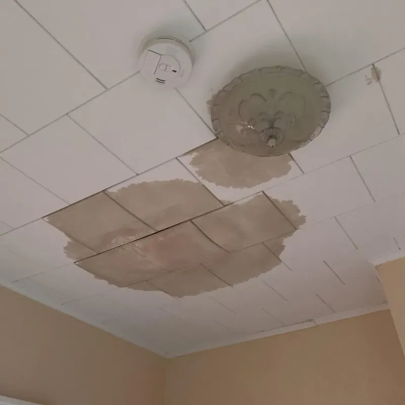 Ceiling Water Damage Repair in Germantown, IL