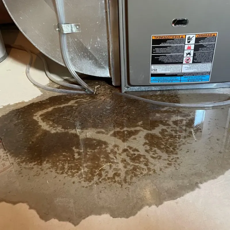 Pipe Burst and Leak Restoration in Germantown, IL