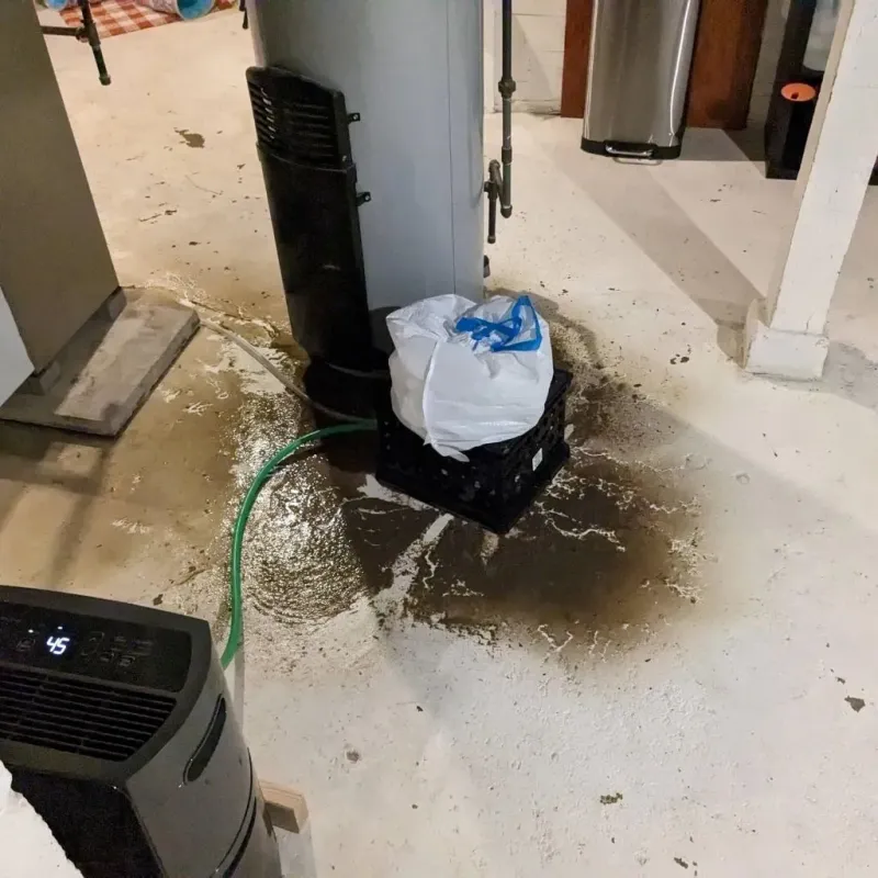 Sewage Backup Cleanup Service in Germantown, IL